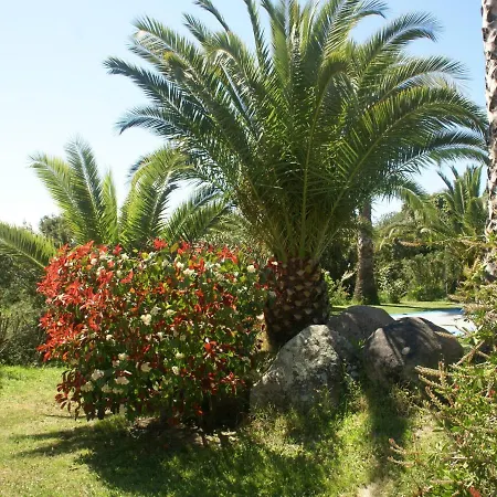 Modern With Private Pool * Sant' Andrea-d'Orcino