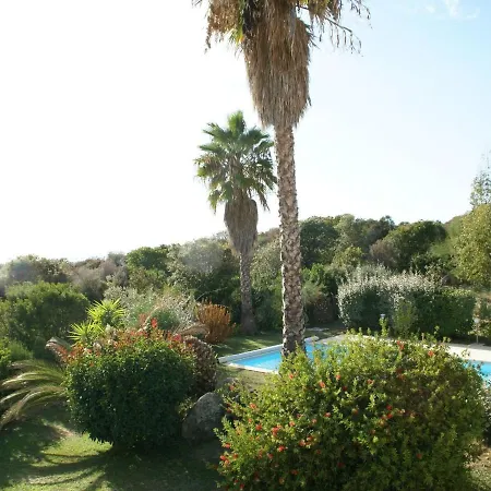 Modern With Private Pool Willa